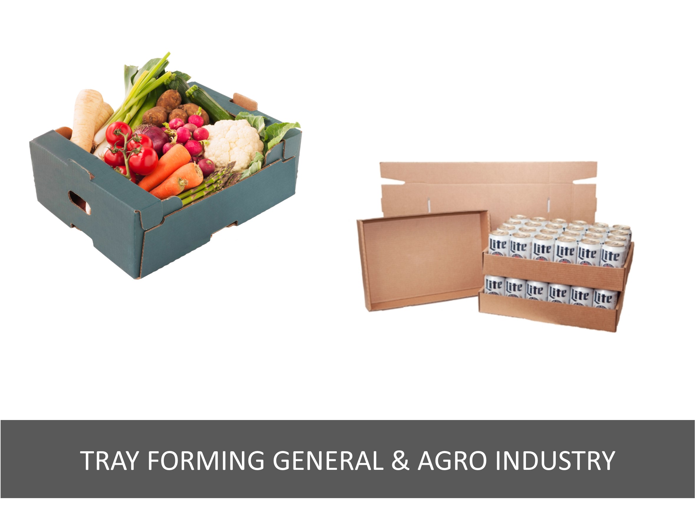 Tray forming, general & agro industry